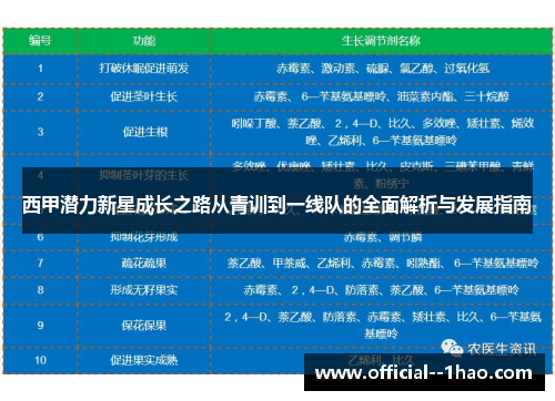 西甲潜力新星成长之路从青训到一线队的全面解析与发展指南