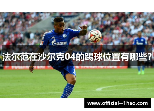 法尔范在沙尔克04的踢球位置有哪些？