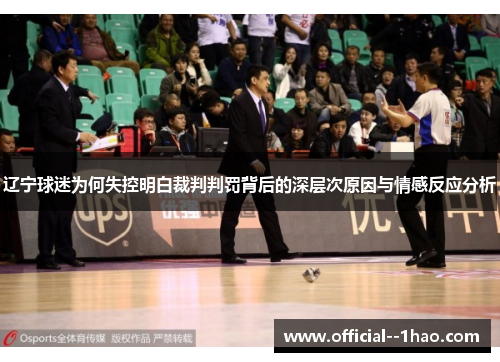 辽宁球迷为何失控明白裁判判罚背后的深层次原因与情感反应分析 辽宁球迷为何失控明白裁判判罚背后的深层次原因与情感反应分析