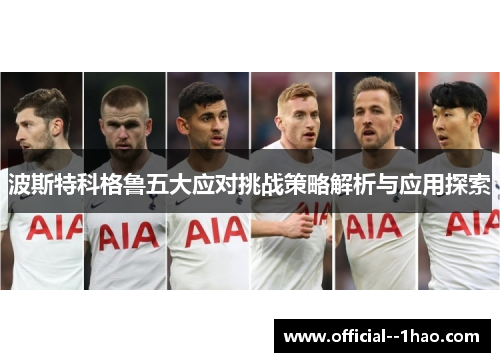 波斯特科格鲁五大应对挑战策略解析与应用探索 波斯特科格鲁五大应对挑战策略解析与应用探索